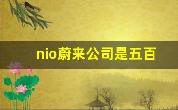 nio蔚来公司是五百强吗,es6 蔚来